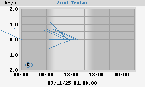 Wind Vector